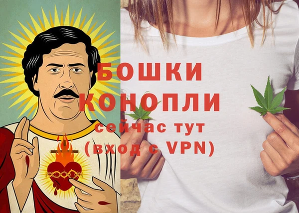 шишки Нягань